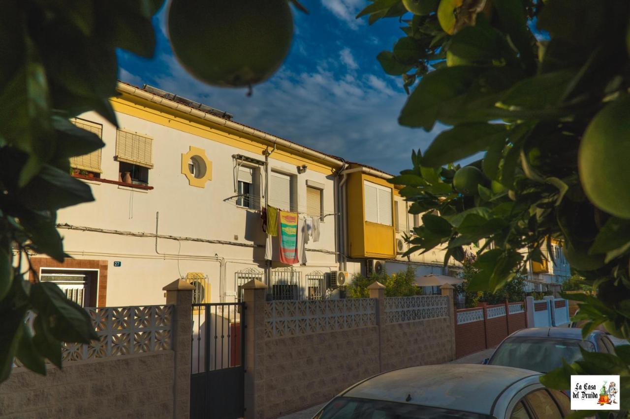 Appartement La Casa Del Druida II à Málaga Extérieur photo